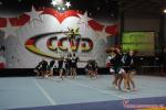 031 CheerForce Fairies