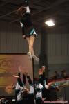 031 CheerForce Fairies