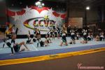 031 CheerForce Fairies