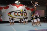 110 CheerForce Stars