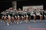 46 Bielefeld Young Wildcats / 1. AFC Bielefeld Bulldogs
